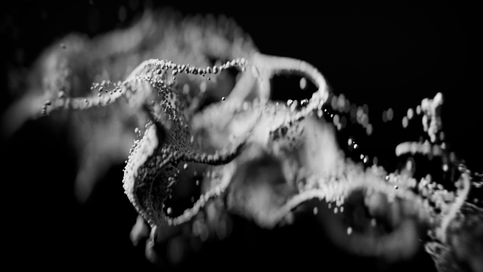 Magnet School Outreach