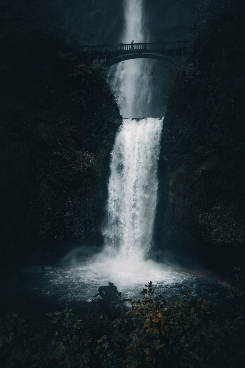 Autism Spectrum Protections